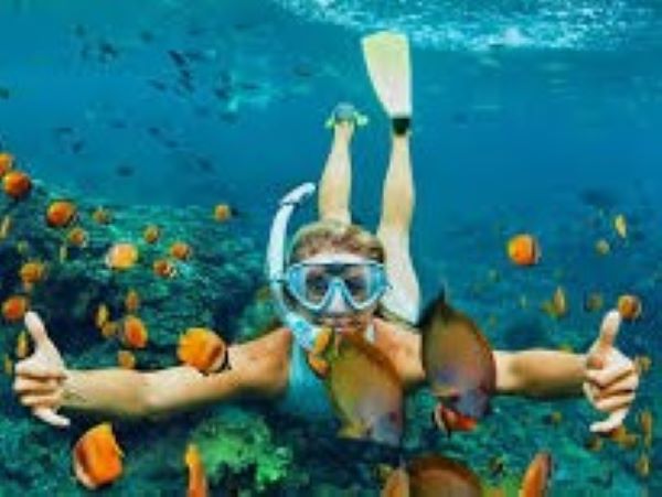 www.funnytravel.vn