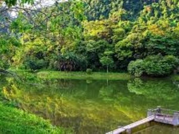 www.funnytravel.vn