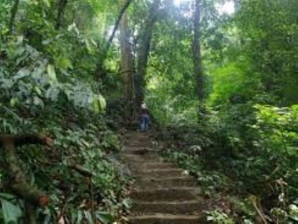 www.funnytravel.vn