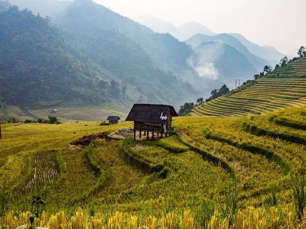 www.funnytravel.vn