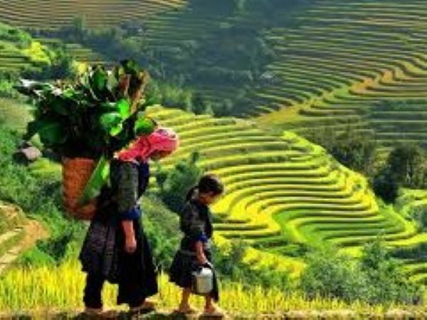 www.funnytravel.vn