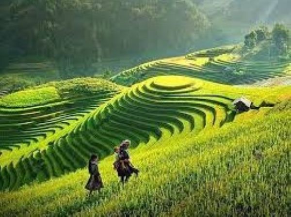 www.funnytravel.vn