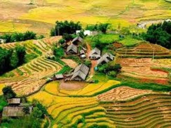 www.funnytravel.vn