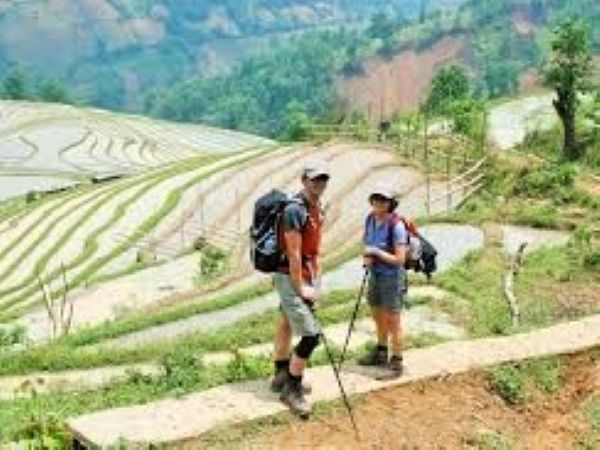 www.funnytravel.vn