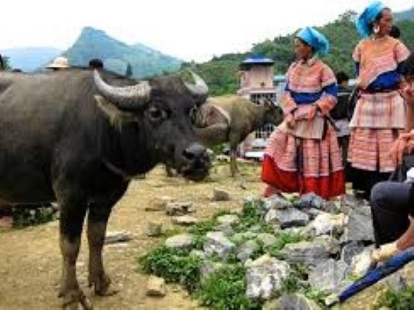 www.funnytravel.vn