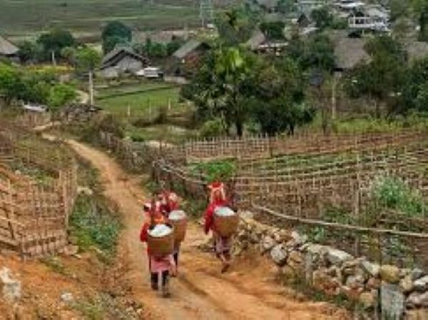 www.funnytravel.vn
